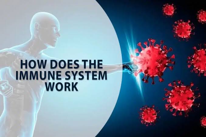 Your Immune System Works Around the Clock—Here’s How to Support It Naturally